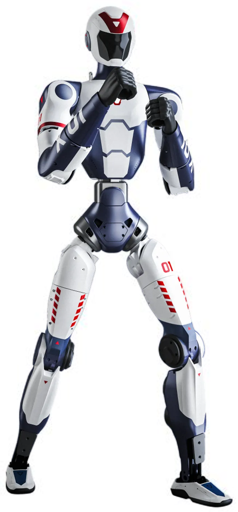 ROBertas humanoidinis robotas
